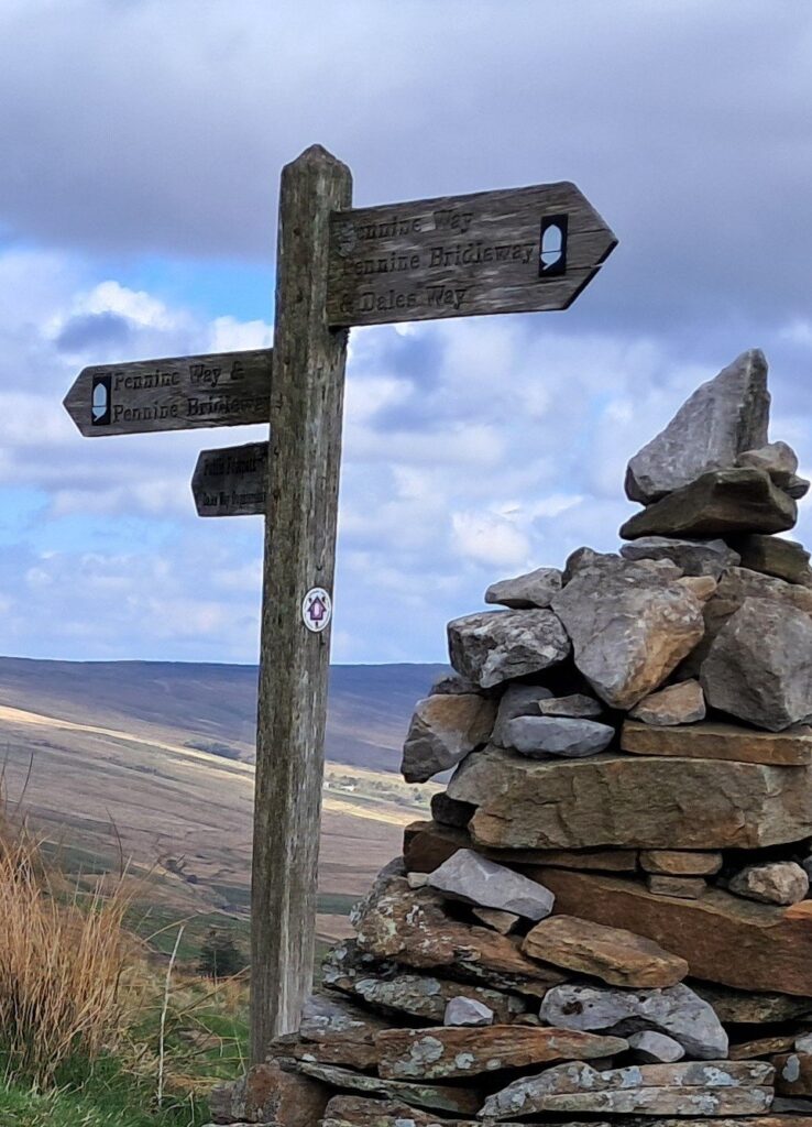Miles for a Master’s: help a doctor rebuild their career — photo 4